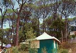 Picture of Le Mas de Reilhe, Gard