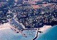 Picture of Des Palmiers, Côtes-d'Armor
