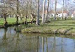 Picture of La Venise Verte - Sites & Paysages, Deux-Sévres