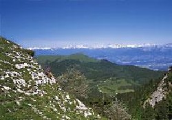 Picture of L'hirondelle, Drôme Picture of L'hirondelle, Drôme