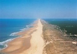 Picture of Domaine Residentiel De La Jenny, Gironde Picture of Domaine Residentiel De La Jenny, Gironde