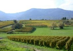Picture of Camping Le Vallon De l'Ehn, Bas-Rhin
