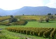 Picture of Camping Le Vallon De l'Ehn, Bas-Rhin