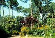 Picture of Camping les Ecureuils, Vendée