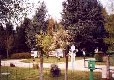 Picture of Les Araucarias, Oise Picture of Les Araucarias, Oise