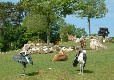 Picture of La Grande Michellerie, Indre-et-Loire