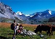 Picture of Les Lanchettes, Savoie Picture of Les Lanchettes, Savoie