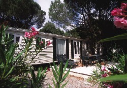 Picture of Sunelia Douce Quiétude, Var