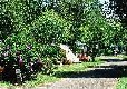 Picture of La Paillotte, Landes Picture of La Paillotte, Landes