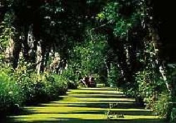 Picture of La Tabardiere - Sites & Paysages, Loire-Atlantique
