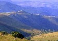 Picture of Camp Municipal Le Pont Du Tarn, Lozère