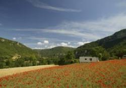 Picture of Le Val de Cantobre, Aveyron