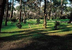 Picture of Sunelia La Forêt***, Gironde Picture of Sunelia La Forêt***, Gironde