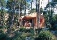 Picture of Sunelia La Forêt***, Gironde Picture of Sunelia La Forêt***, Gironde