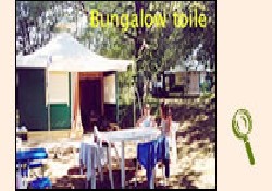 Picture of Camping Domaine De La Faurie***, Lot