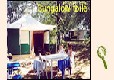 Picture of Camping Domaine De La Faurie***, Lot