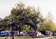 Picture of Le Bon Coin, Gironde