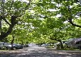 Picture of Le Moulin - Sites & Paysages, Haute-Garonne