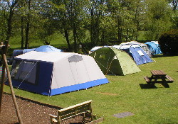Picture of Glan Ceirw Caravan Park, Conwy Picture of Glan Ceirw Caravan Park, Conwy