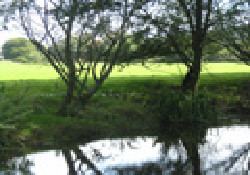 Picture of Glan Ceirw Caravan Park, Conwy Picture of Glan Ceirw Caravan Park, Conwy
