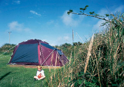 Picture of St Davids Camping and Caravanning Club Site, Pembrokeshire Picture of St Davids Camping and Caravanning Club Site, Pembrokeshire