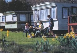 Picture of Silver Ladies Caravan Park, Aberdeenshire Picture of Silver Ladies Caravan Park, Aberdeenshire