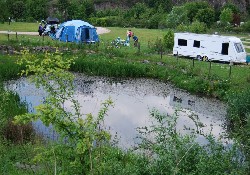 Environmental Pond at Rivendale.