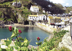 Picture of Looe Bay Holiday Park - Parkdean Holidays, Cornwall, South West England Picture of Looe Bay Holiday Park - Parkdean Holidays, Cornwall, South West England