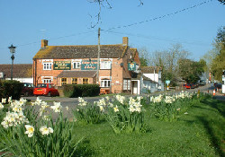 Tudor Caravan Park - Tudor Arms Pub Next Door Tudor Caravan Park - Tudor Arms Pub Next Door
