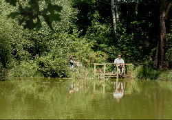 Picture of Beacon Hill Touring Park, Dorset Picture of Beacon Hill Touring Park, Dorset