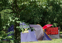 Picture of Beacon Hill Touring Park, Dorset Picture of Beacon Hill Touring Park, Dorset