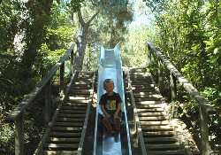 Picture of Beacon Hill Touring Park, Dorset Picture of Beacon Hill Touring Park, Dorset