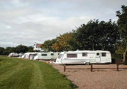 Picture of Scoutscroft Holiday Centre, Borders, Scotland Picture of Scoutscroft Holiday Centre, Borders, Scotland