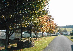 Picture of Scoutscroft Holiday Centre, Borders, Scotland Picture of Scoutscroft Holiday Centre, Borders, Scotland
