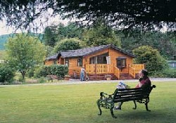 Picture of Angecroft Park, Borders