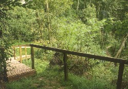 Picture of Crosslaw Caravan Park, Borders Picture of Crosslaw Caravan Park, Borders