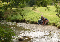 Picture of Gwernydd Hall Holiday Home Park, Powys Picture of Gwernydd Hall Holiday Home Park, Powys