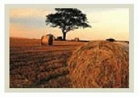 Picture of Arbour House Caravan Park, Durham