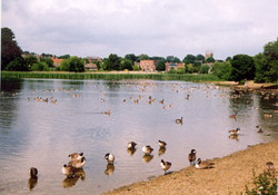 Picture of Lowcroft Park, East Riding Yorkshire, North of England