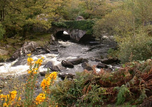 Picture of Ring of Kerry Caravan and Camping Park, Kerry