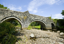Picture of Harford Bridge Holiday Park, Devon, South West England