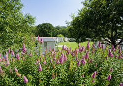 Picture of Harford Bridge Holiday Park, Devon, South West England