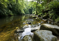 Picture of Harford Bridge Holiday Park, Devon, South West England