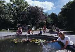 Picture of la Faval, Dordogne