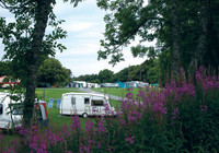 Picture of Culzean Castle Camping and Caravanning Club Site, Strathclyde