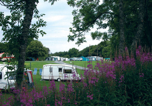 Picture of Culzean Castle Camping and Caravanning Club Site, Strathclyde