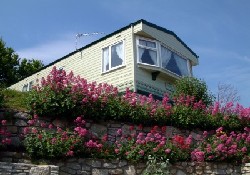 Picture of Cove Park, Dorset