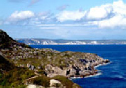 Picture of Cove Park, Dorset