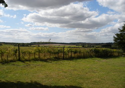 Picture of Whitemark Farm, Oxfordshire, Central South England