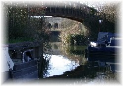 Picture of Bath Marina &amp; Caravan Park, Somerset